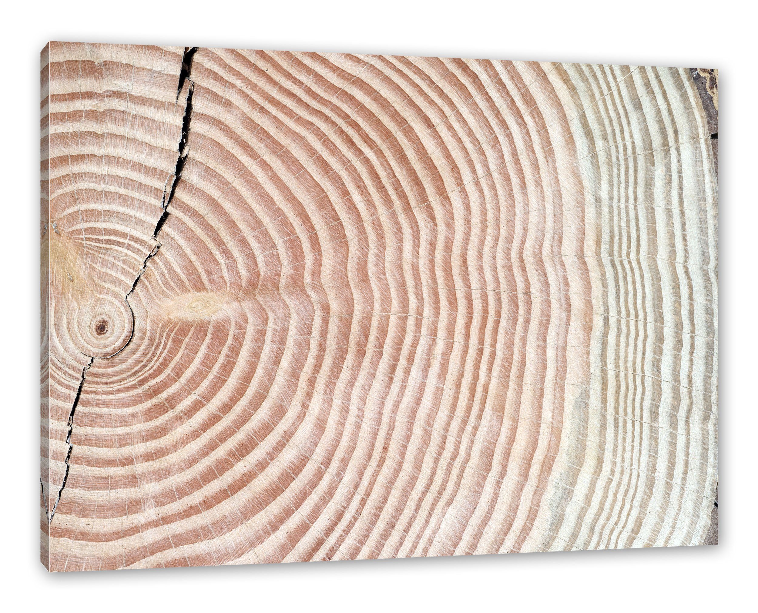 Pixxprint Leinwandbild Baumstamm Jahresringe, Baumstamm inkl. bespannt, fertig Zackenaufhänger St), (1 Leinwandbild Jahresringe