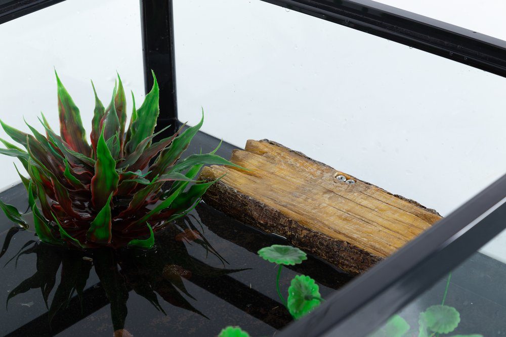 Terrarium ReptiZoo 2 in 1 Futterhalter und Schildkrötensitz (TB09)
