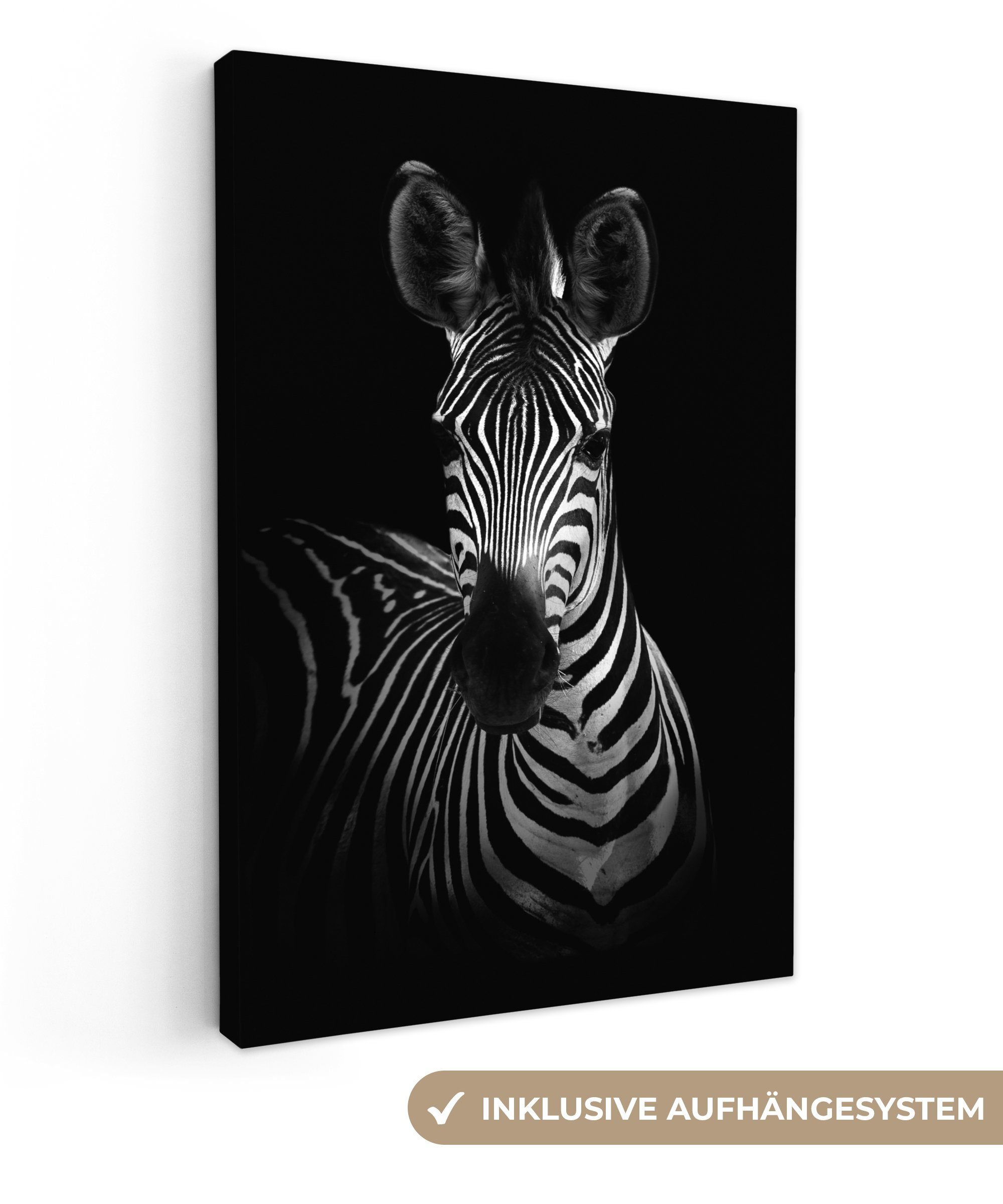 OneMillionCanvasses® Leinwandbild Zebra - Tiere - günstig online kaufen