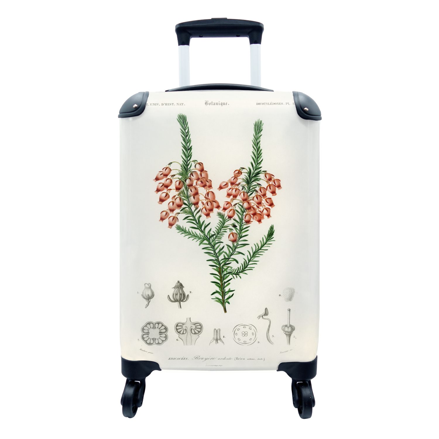 MuchoWow Handgepäckkoffer Pflanze - Blume - Botanik, 4 Rollen, Reisetasche mit rollen, Handgepäck für Ferien, Trolley, Reisekoffer