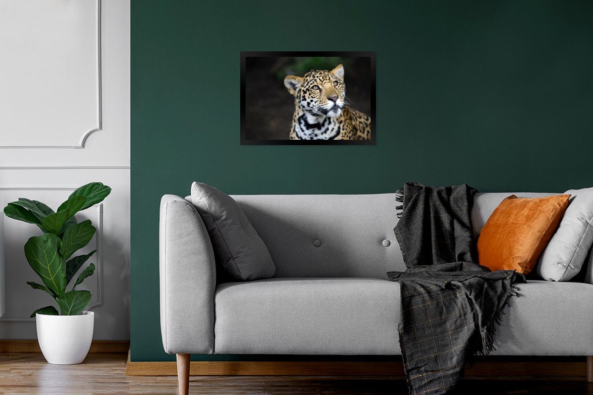 Gerahmtes Bilderrahmen Leopard - Poster Wanddeko, Poster, Schwarzem MuchoWow Bilder, Wandposter, - Wald, (1 Kopf St),