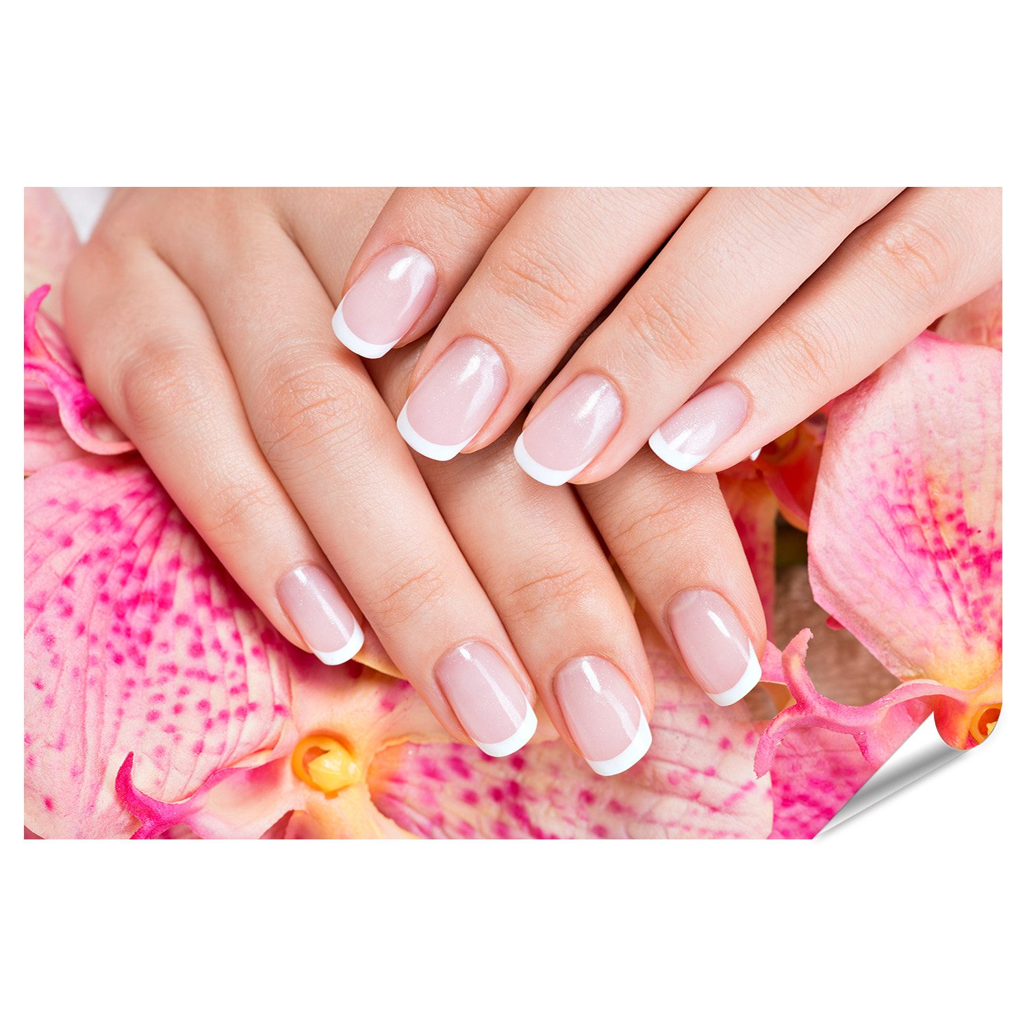 islandburner Poster Schöne Frau S Nägel Französisch Maniküre Nagelstudio Bi günstig online kaufen