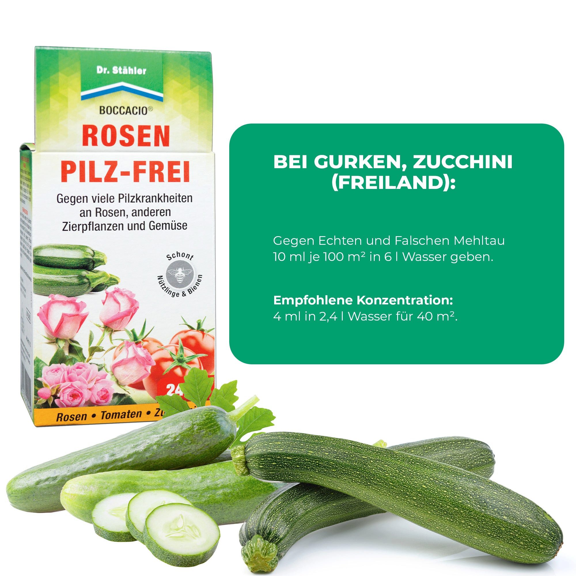 Dr. Stähler Pflanzen-Pilzfrei Boccacio® Rosen Pilz-Frei: Schützt Rosen und Pflanzen vor Pilzen, 24 ml, Bienenfreundlich, Geeignet für Freiland- und Gewächshauskulturen, Systemische Wirkung für langanhaltenden Schutz, Vielseitige Anwendung, Wirksames Pflanzenschutzmittel mit Azoxystrobin – Zuverlässiger Schutz