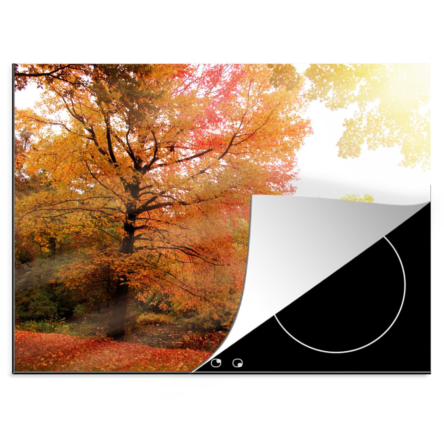 MuchoWow Herdblende-/Abdeckplatte Verwunschener Wald im Herbst, Vinyl, (1 tlg), 70x52 cm, Mobile Arbeitsfläche nutzbar, Ceranfeldabdeckung