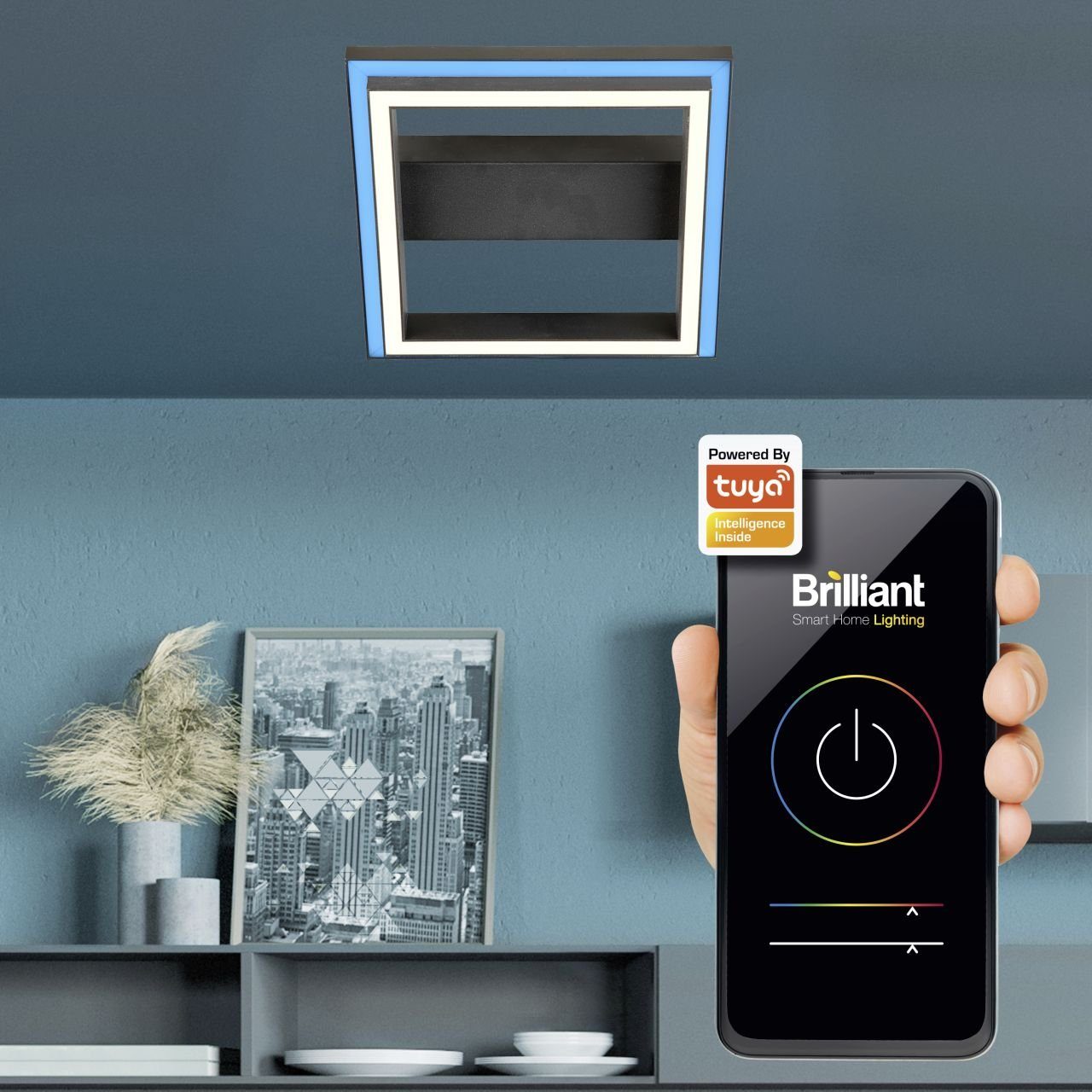 Brilliant Deckenleuchte Brilliant Tuya Smart LED Panel Palva schwarz 30 x, Inkl. Leuchtmittel, Dimmbar ohne Bewegungsmelder Smart Home-fähig