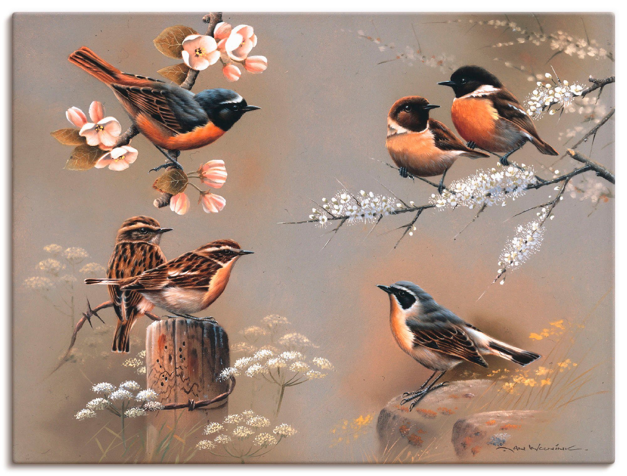 Artland Leinwandbild Vogel Komposition, Vögel (1 St), auf Holzrahmen gespannt
