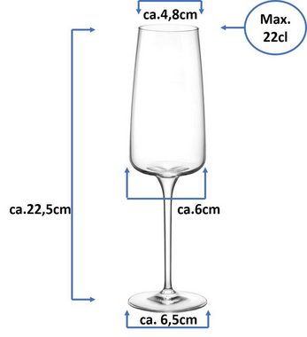 Emilja Sektglas Nexo Sektglas 22cl - 6 Stück Champagnerglas