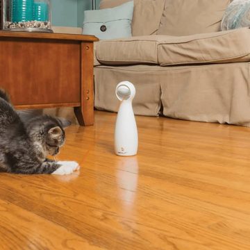 PetSafe Tier-Beschäftigungsspielzeug Laserlicht-Spiel für Katzen FroliCat Bolt Weiß, Plastik