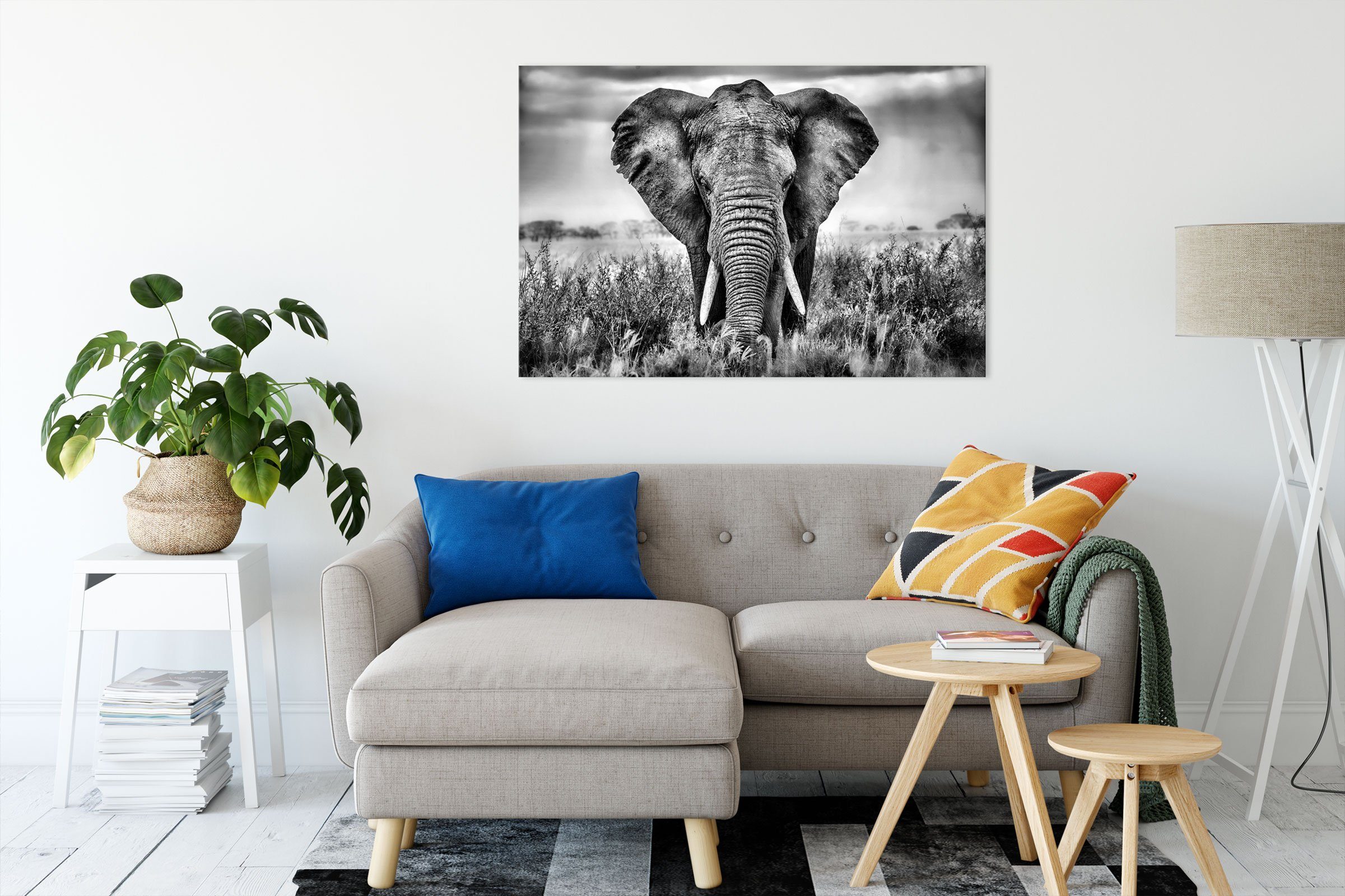 Pixxprint Leinwandbild Imposanter Elefant, Imposanter bespannt, Zackenaufhänger Leinwandbild St), inkl. Elefant (1 fertig