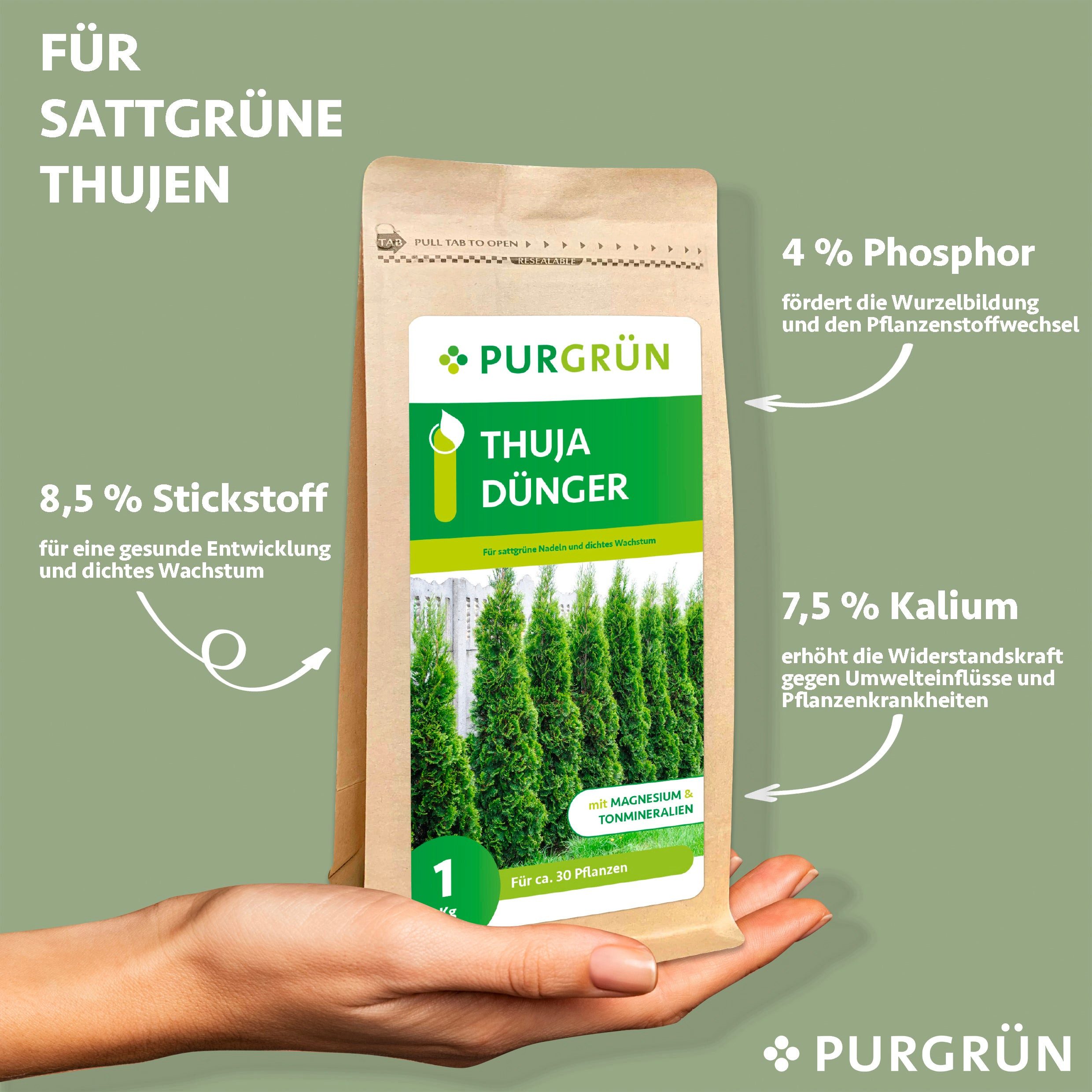 Purgrün Gartendünger Purgrün Thuja Dünger, NPK günstig online kaufen