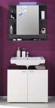 trendteam Badezimmerspiegelschrank Tetis (Spiegelschrank 72x72 cm, grau Grafit) mit Regalen