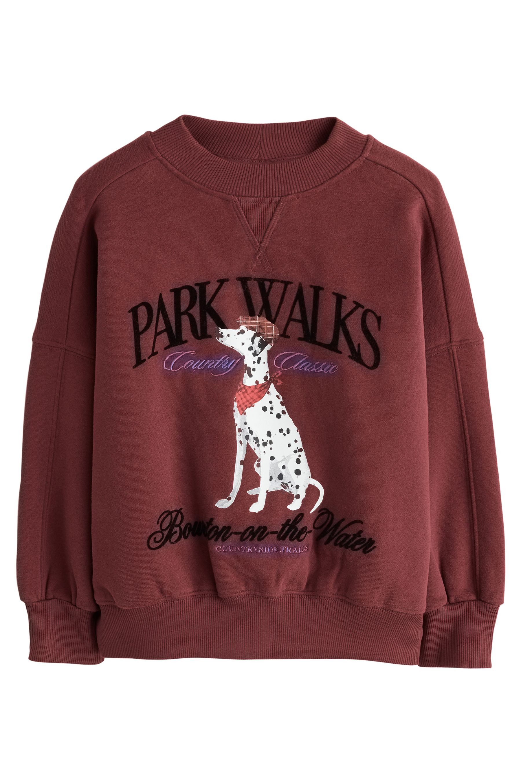 Next Sweater Sweatshirt (1-tlg)