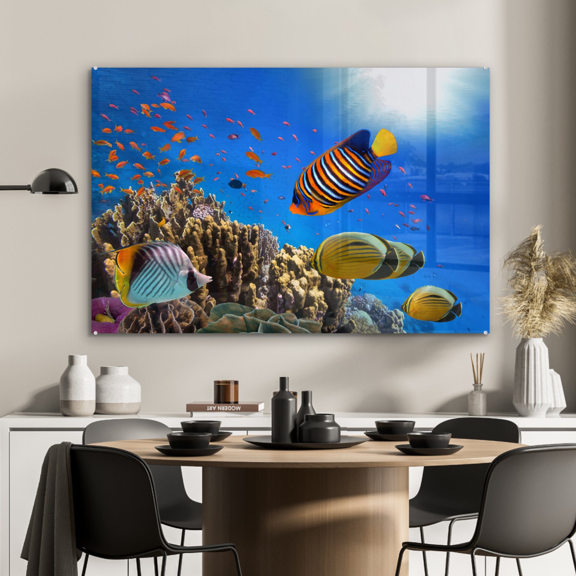 MuchoWow Ägypten, Tropisch - Wohnzimmer Fische Acrylglasbilder - (1 St), & Schlafzimmer Acrylglasbild