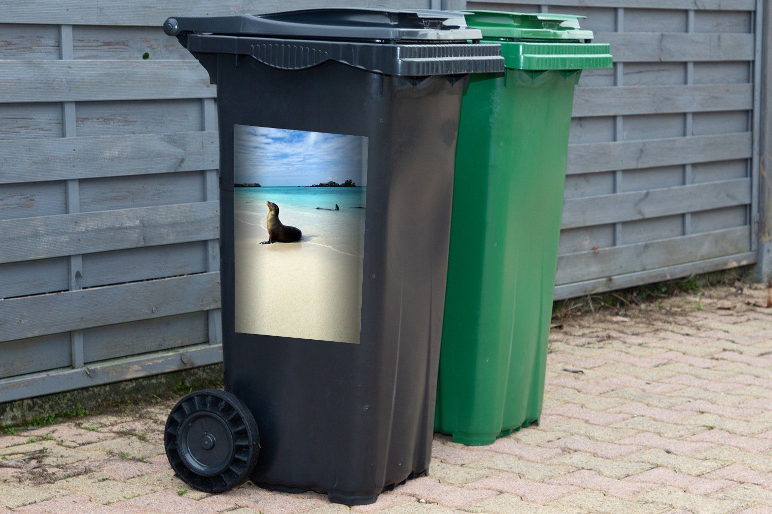 Mülleimer-aufkleber, Robbe Sticker, liegt Galapagos-Inseln (1 Mülltonne, Wandsticker MuchoWow Eine Container, Abfalbehälter klaren St), im Meerwasser der
