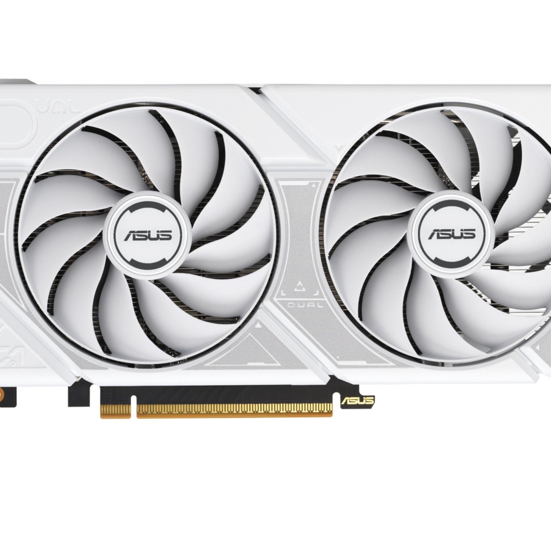 Asus DUAL-RTX5060-O8G-WHITE Grafikkarte