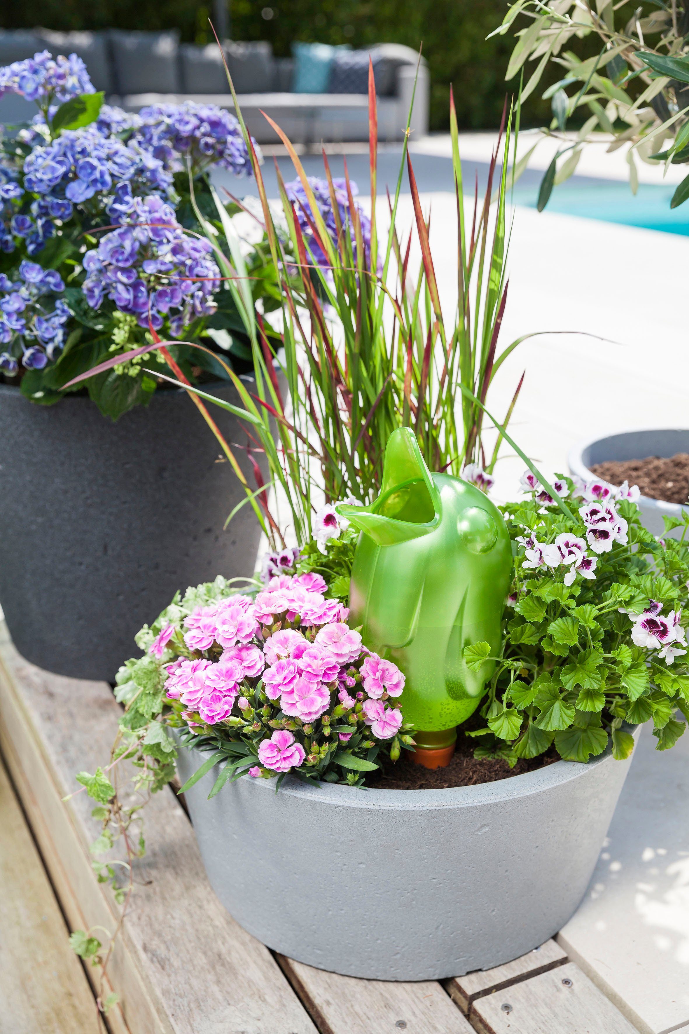 Scheurich Blumentopf 40/239 C-CONE BOWL günstig online kaufen