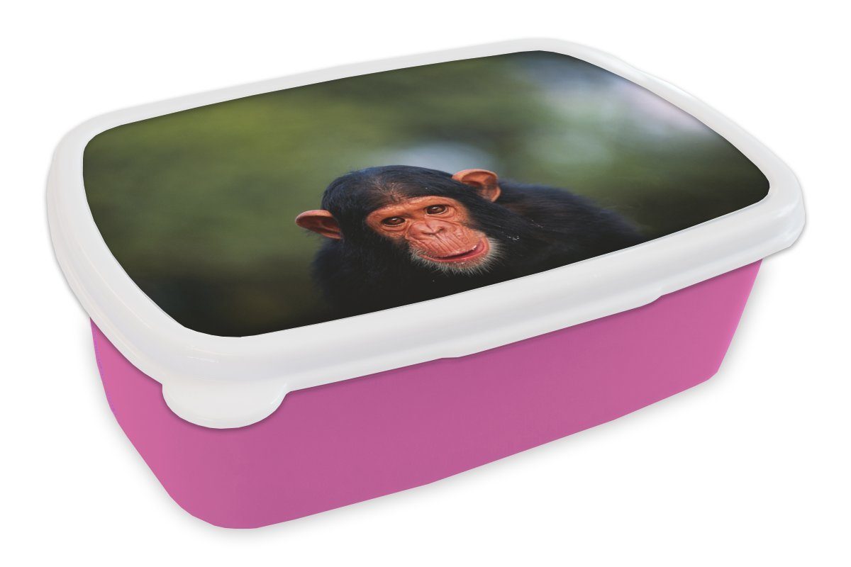 MuchoWow Lunchbox Schimpansen-Affe vor verblasstem Hintergrund, Kunststoff, (2-tlg), Brotbox für Erwachsene, Brotdose Kinder, Snackbox, Mädchen, Kunststoff rosa