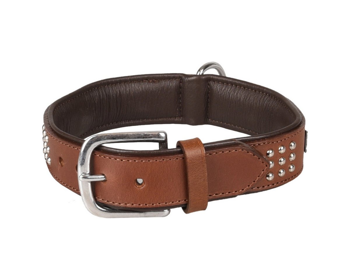 Thumbnail - Flamingo Hunde-Halsband Halsband Sedona Leder mit Nieten braun