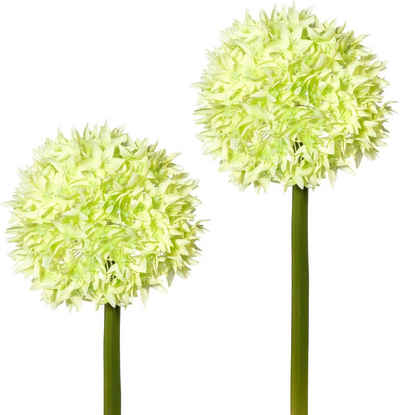 Kunstblume, Creativ green, Höhe 65 cm, 2er Set