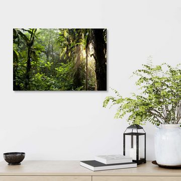 Posterlounge Leinwandbild Peter Schickert, Sonnenstrahlen im Dschungel, Fotografie