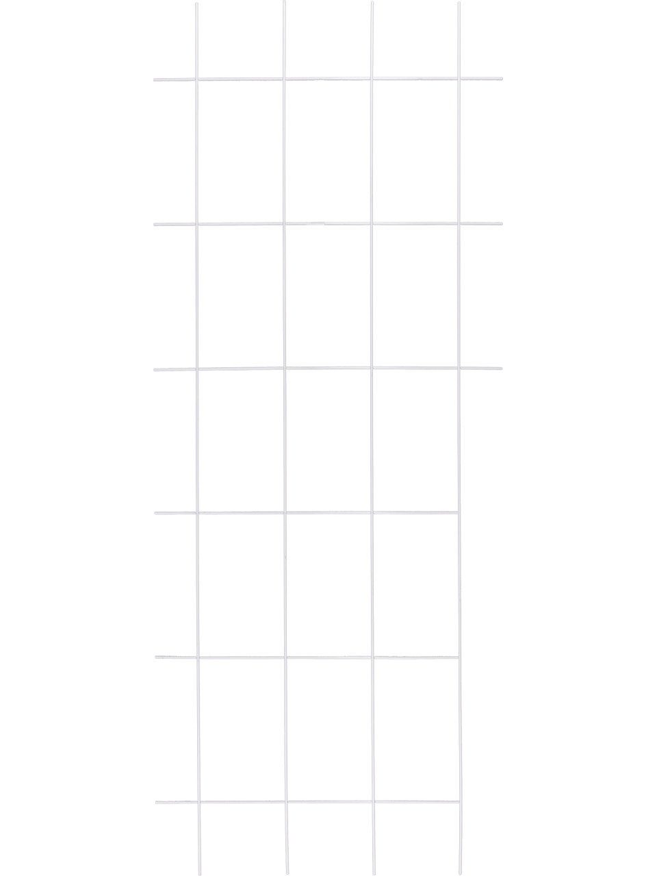 Rankhilfe TrendLine Spaliergitter 150 x 60 cm