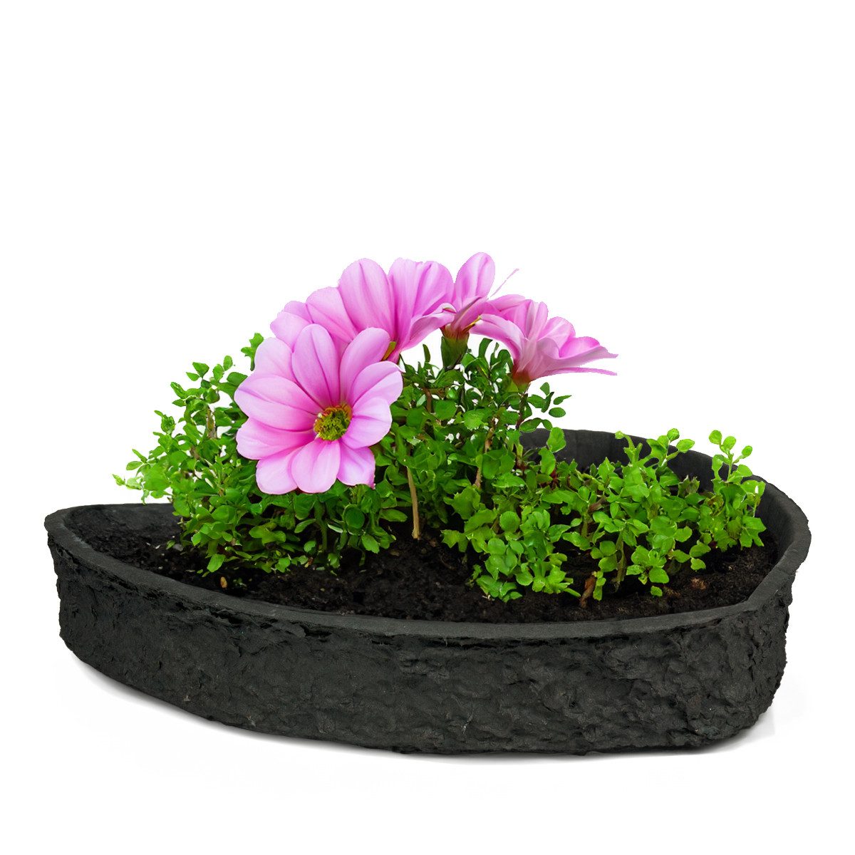 matches21 HOME & HOBBY Blumentopf Pflanz-Herz günstig online kaufen
