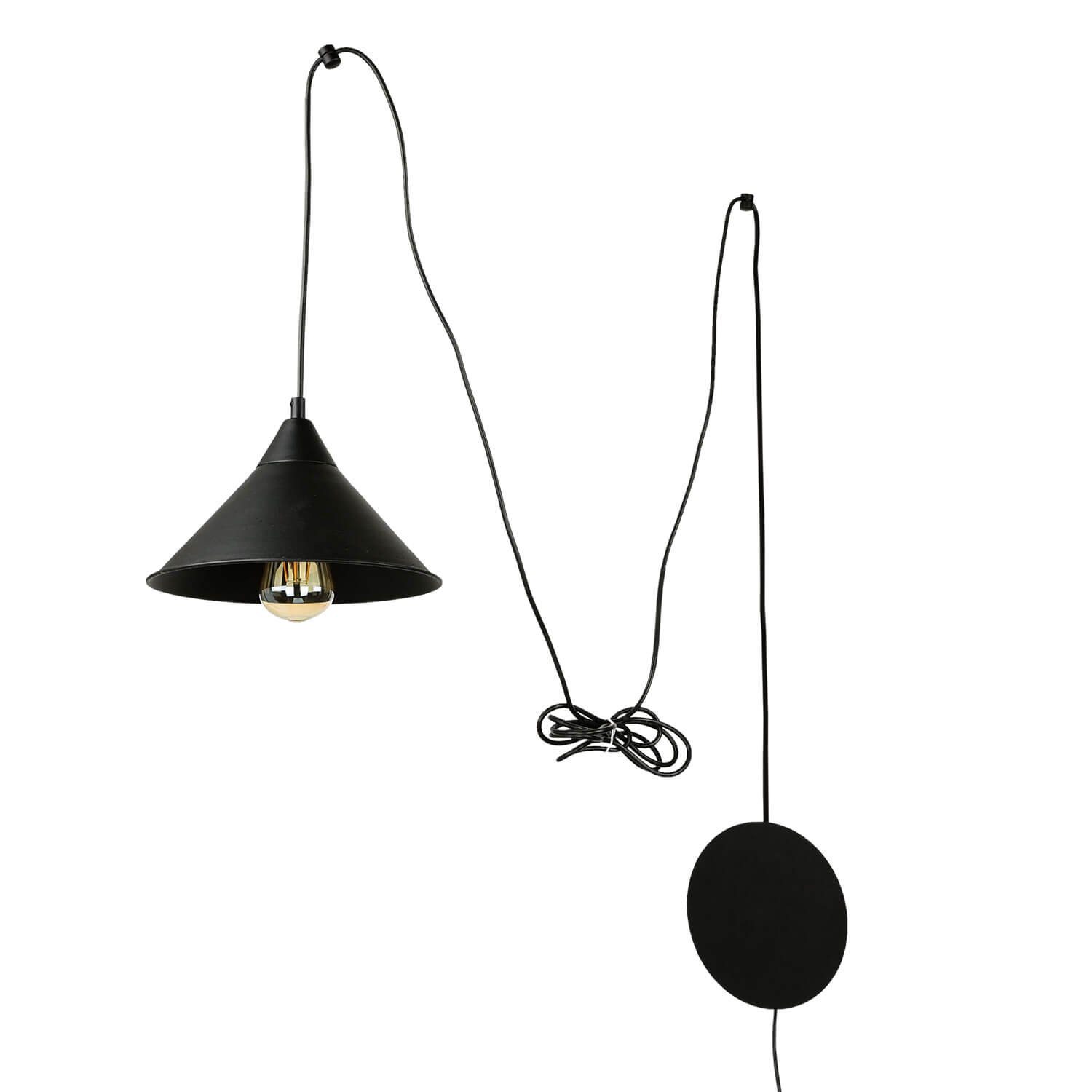 Licht-Erlebnisse Pendelleuchte FLEXIO, ohne Leuchtmittel, Pendelleuchte günstig online kaufen