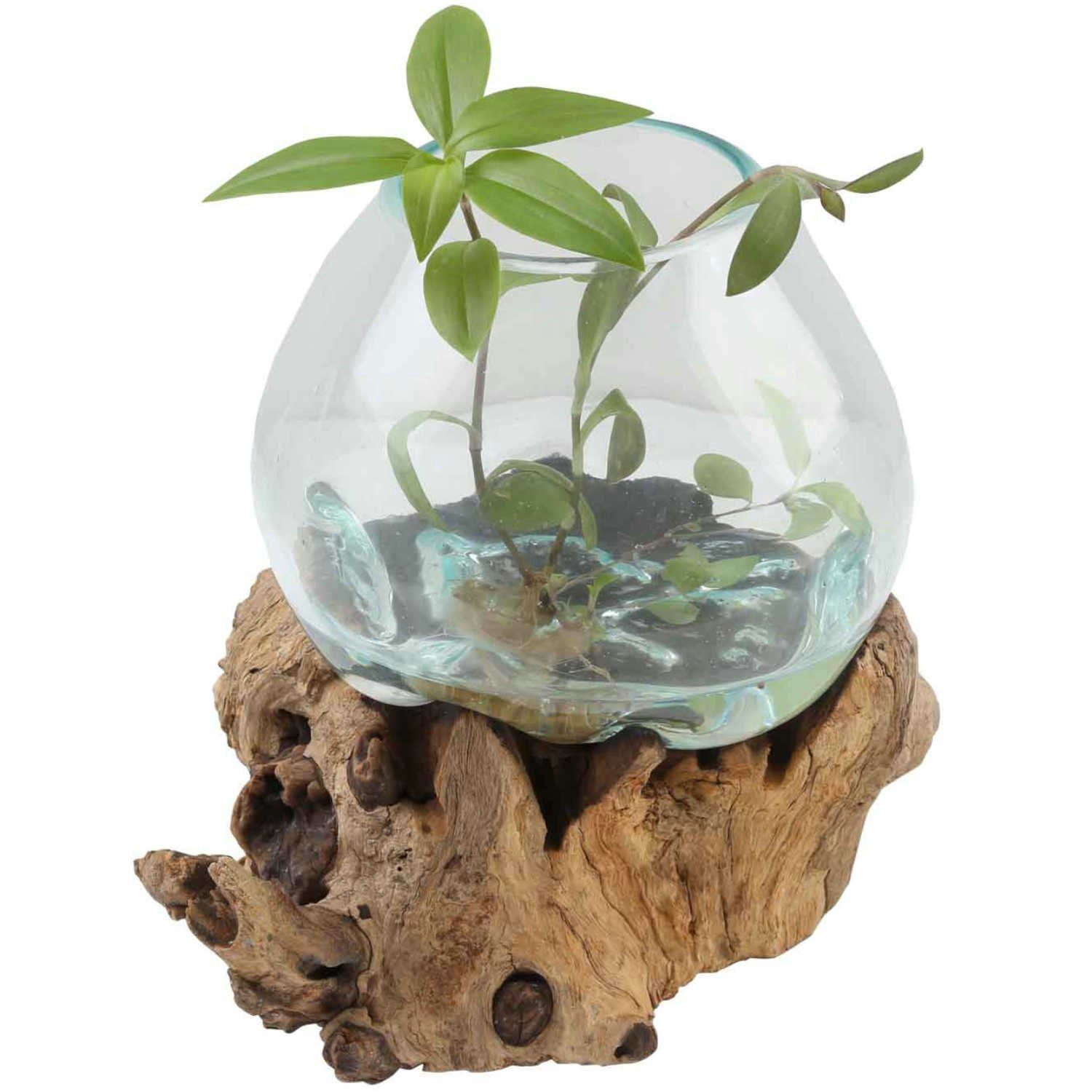 Dekovase Glasvase auf Wurzelholz aus Recycling Glas Ø 20cm & Wurzelholz