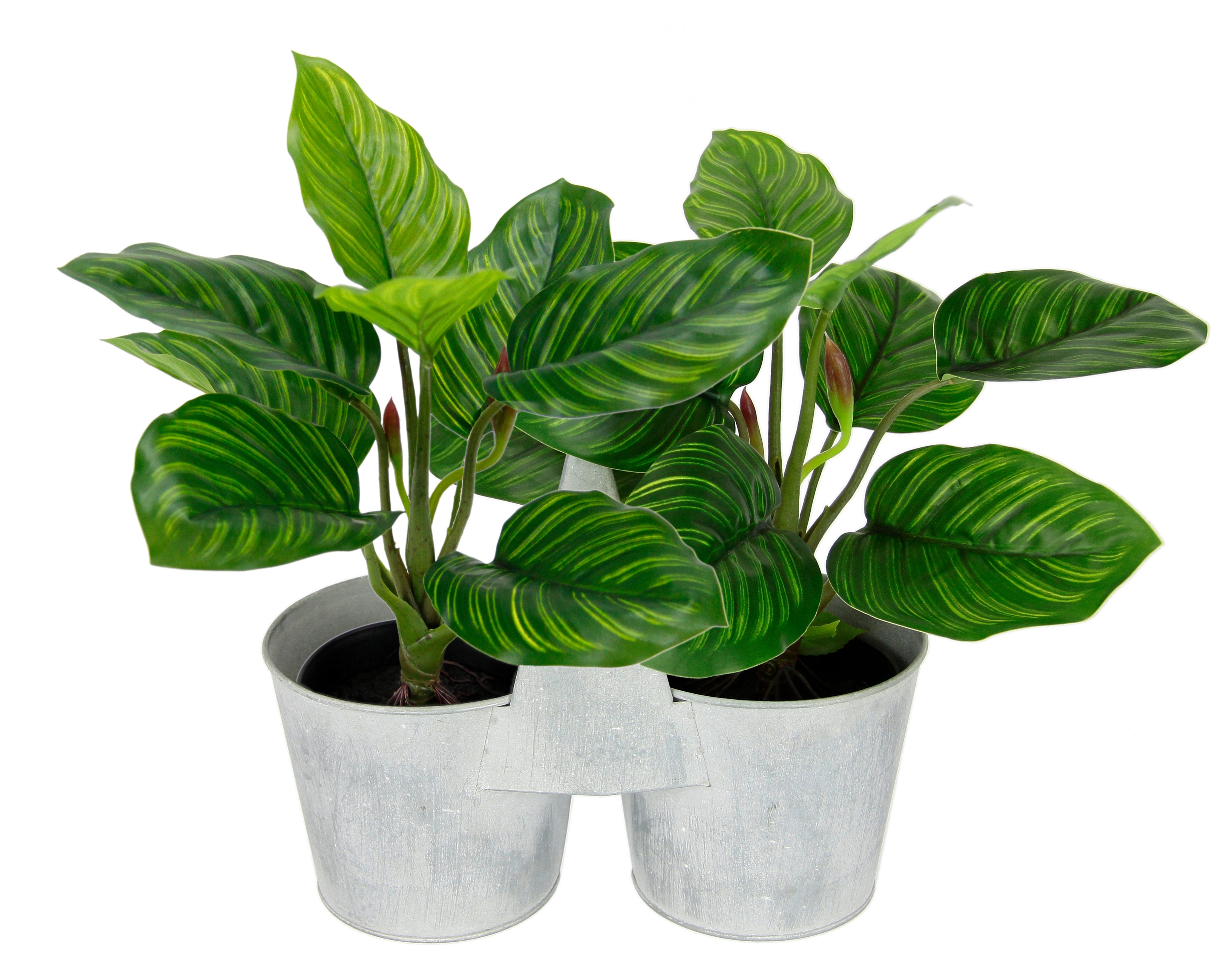 Kunstblume Künstliche Maranthus-Pflanze im Metallkorb 30cm Pothos Pflanze Maranthus, I.GE.A., Höhe 30 cm, Efeutute Zimmerpflanze Deko Seidenblume Kunstpflanze Blattpflanze