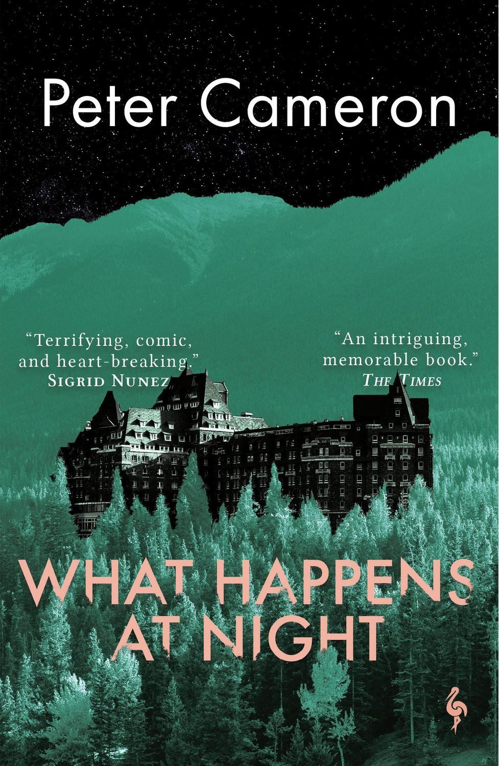 What Happens at Night / Peter Cameron