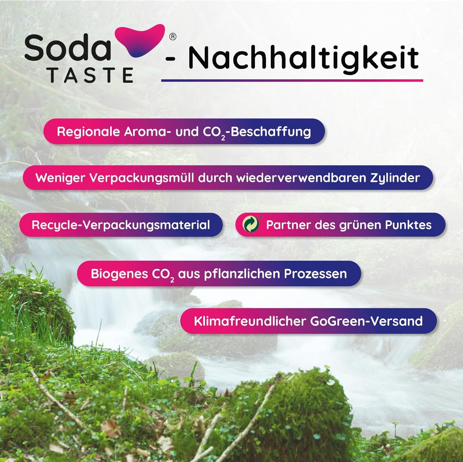 SodaTASTE CO₂-Zylinder CO₂-Zylinder Quick-Zylinder 2er-Pack - kaufen, 2x Quick CO2-Zylinder, biogenes CO2, bis 120L, Quick-Connect