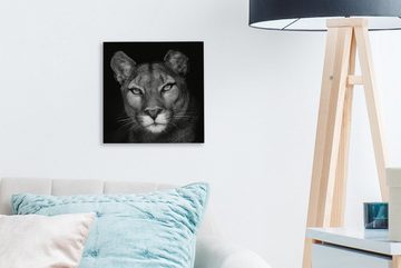 OneMillionCanvasses® Leinwandbild Porträtfoto eines Pumas auf schwarzem Hintergrund, (1 St), Leinwand Bilder für Wohnzimmer Schlafzimmer