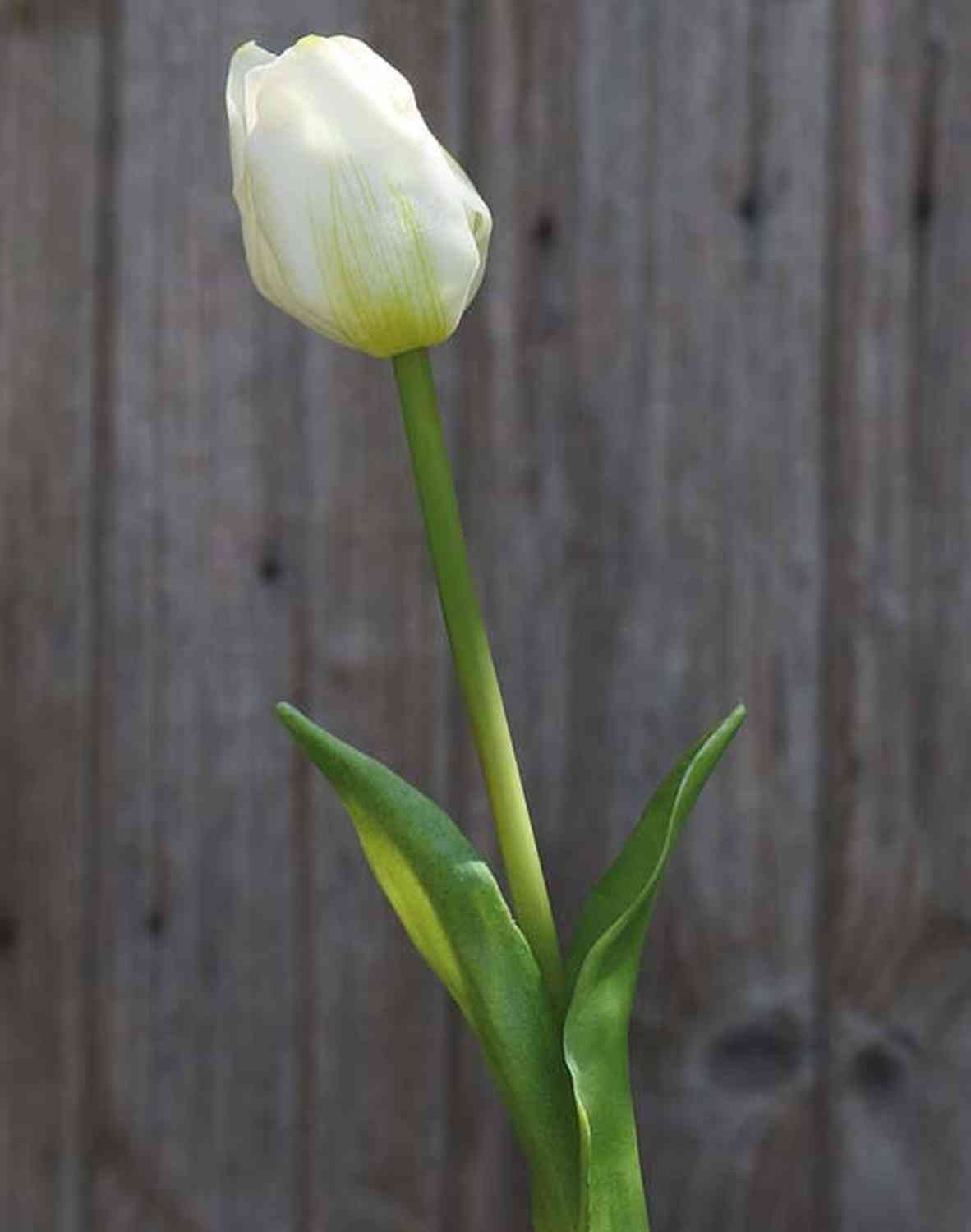 Kunsttulpe LONA, weiß-grün, 45cm, Ø4cm Tulpe, artplants, Höhe 45.0 cm