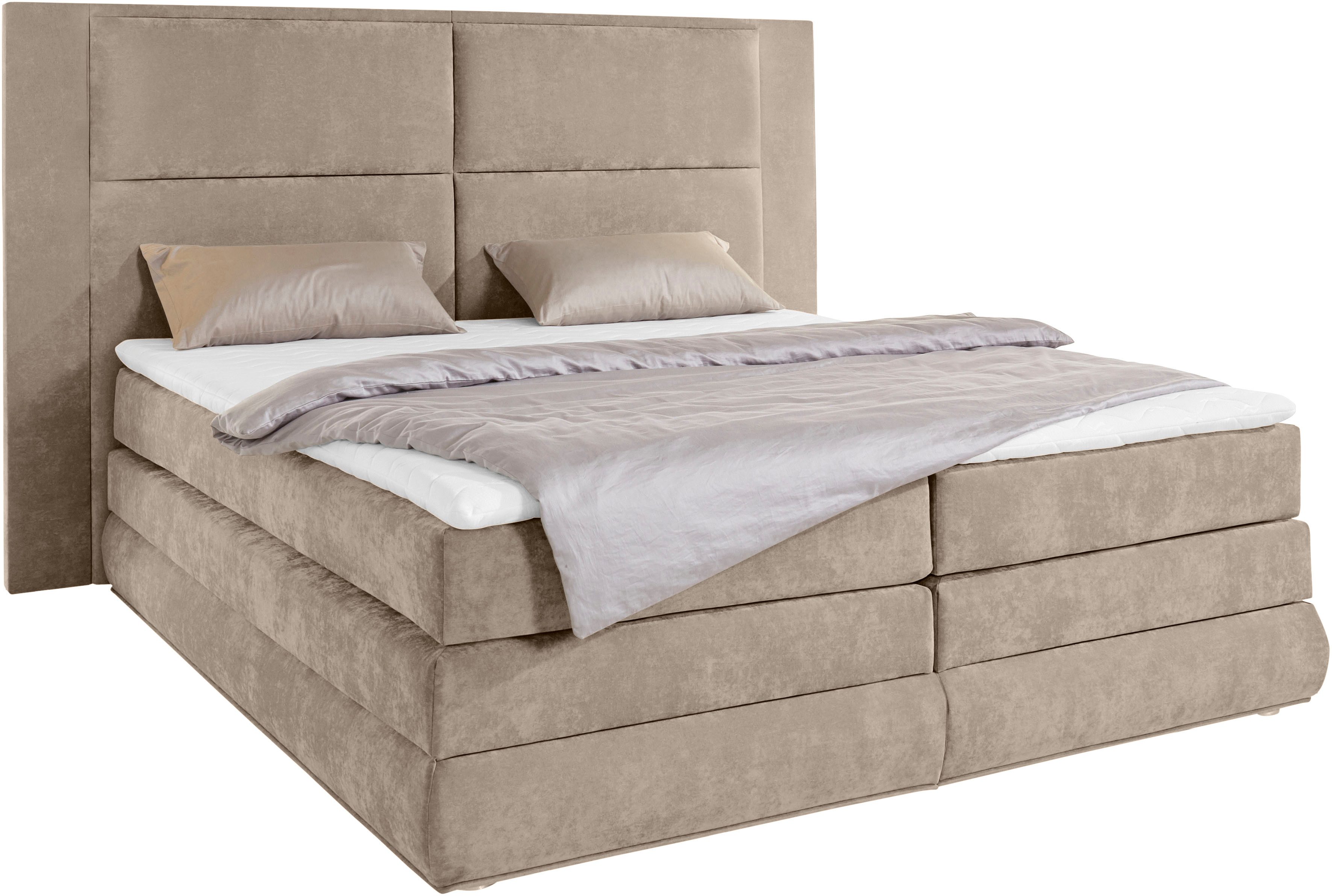 COLLECTION AB Boxspringbett Copenhagen, inklusive Bettkasten, günstig online kaufen