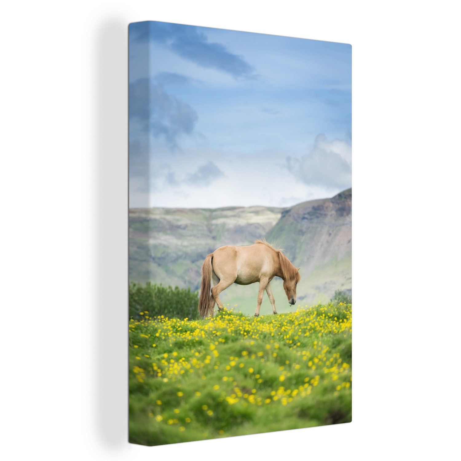 Zackenaufhänger, Gemälde, - - Leinwandbild Pferde inkl. OneMillionCanvasses® St), 20x30 cm (1 Sommer, bespannt Blumen fertig Leinwandbild