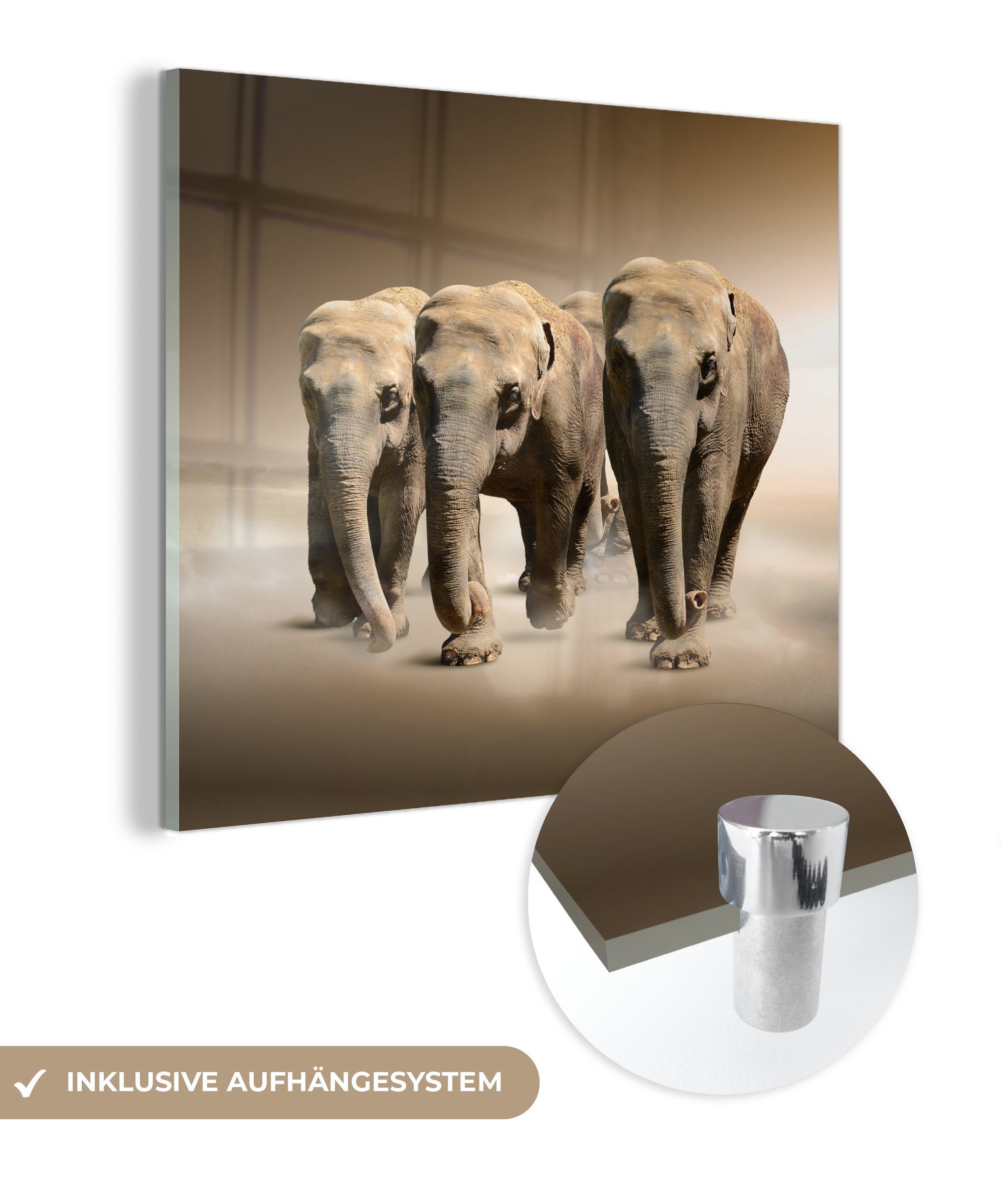 MuchoWow Acrylglasbild Elefant - Nebel - Landschaft, (1 St), Glasbilder - Bilder auf Glas Wandbild - Foto auf Glas - Wanddekoration