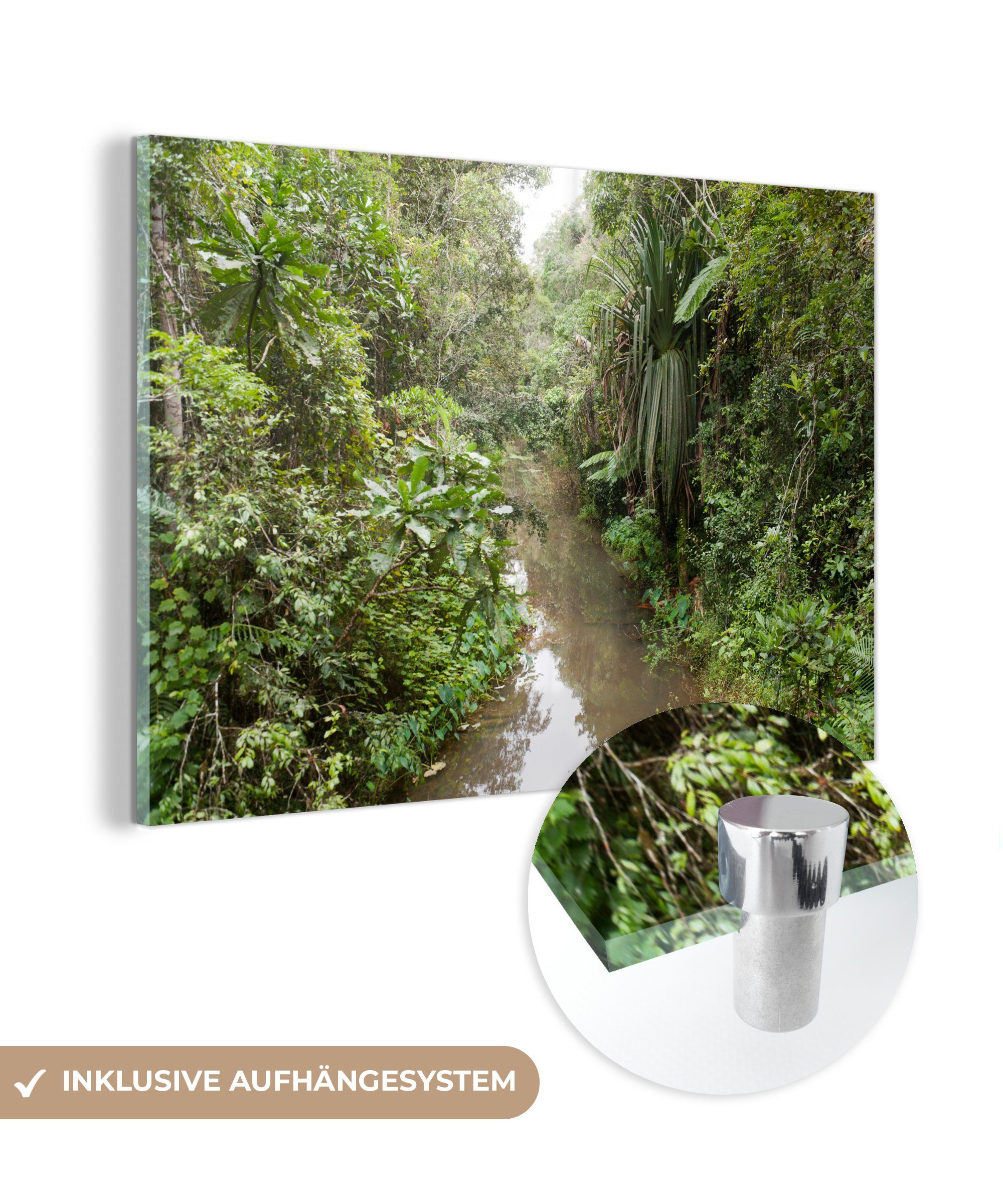 MuchoWow Acrylglasbild Ein Fluss, der durch den dichten Regenwald im Andasibe Mantadia, (1 St), Acrylglasbilder Wohnzimmer & Schlafzimmer
