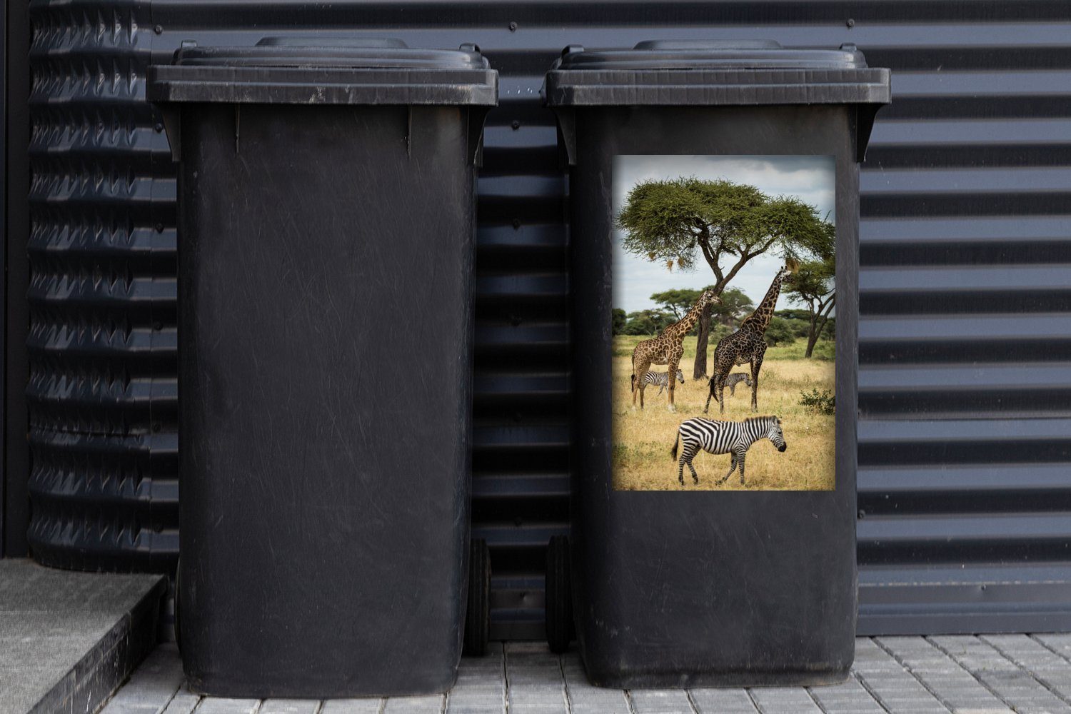 Abfalbehälter Container, MuchoWow des Mülltonne, Savanne in Mülleimer-aufkleber, der (1 Wandsticker Sticker, Zebras und Giraffen St), gemeinsam