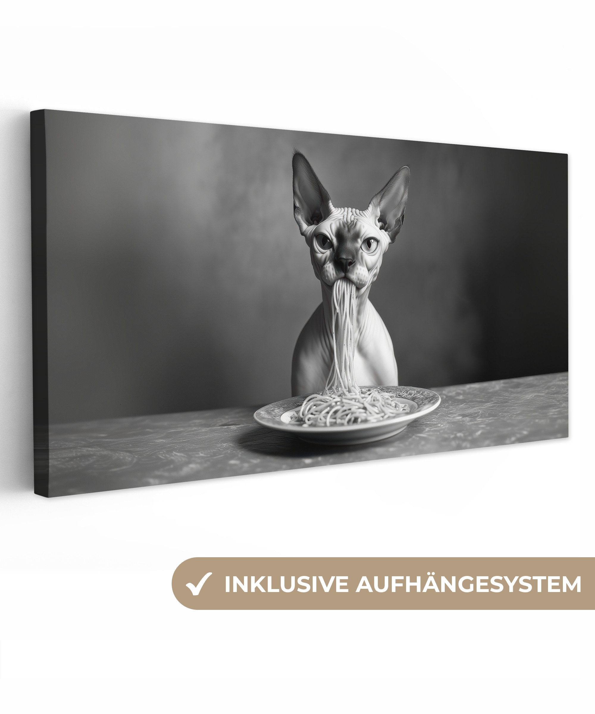 OneMillionCanvasses® Leinwandbild Panorama Sphynx - Katze günstig online kaufen