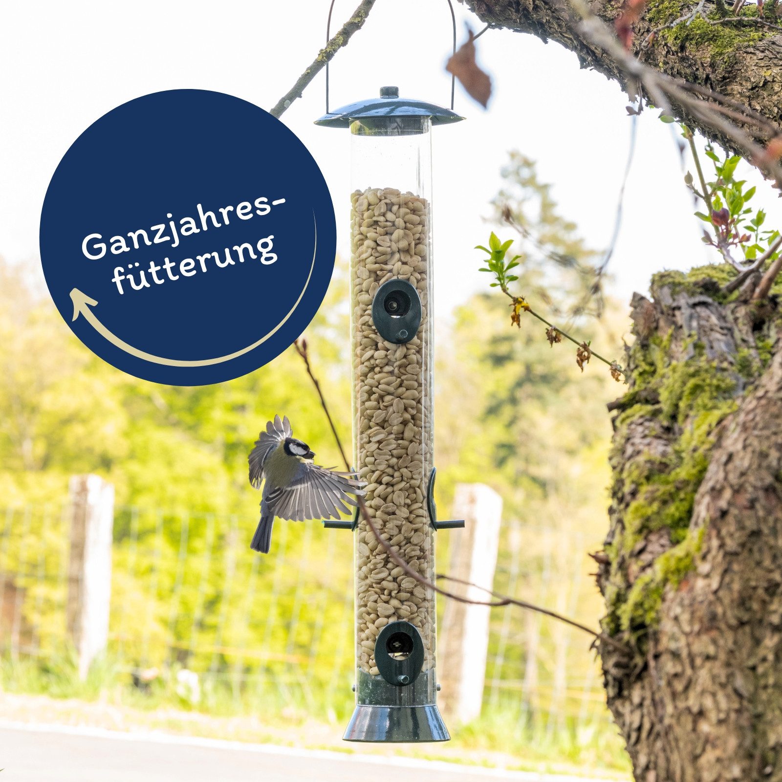 Lyra Pet 10 kg Lyra Pet® Erdnusskerne SPLITS, für: Wildvogel