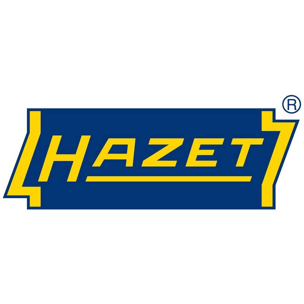 HAZET Werkzeugbox Trennblech Satz 161T-179NXL/5H