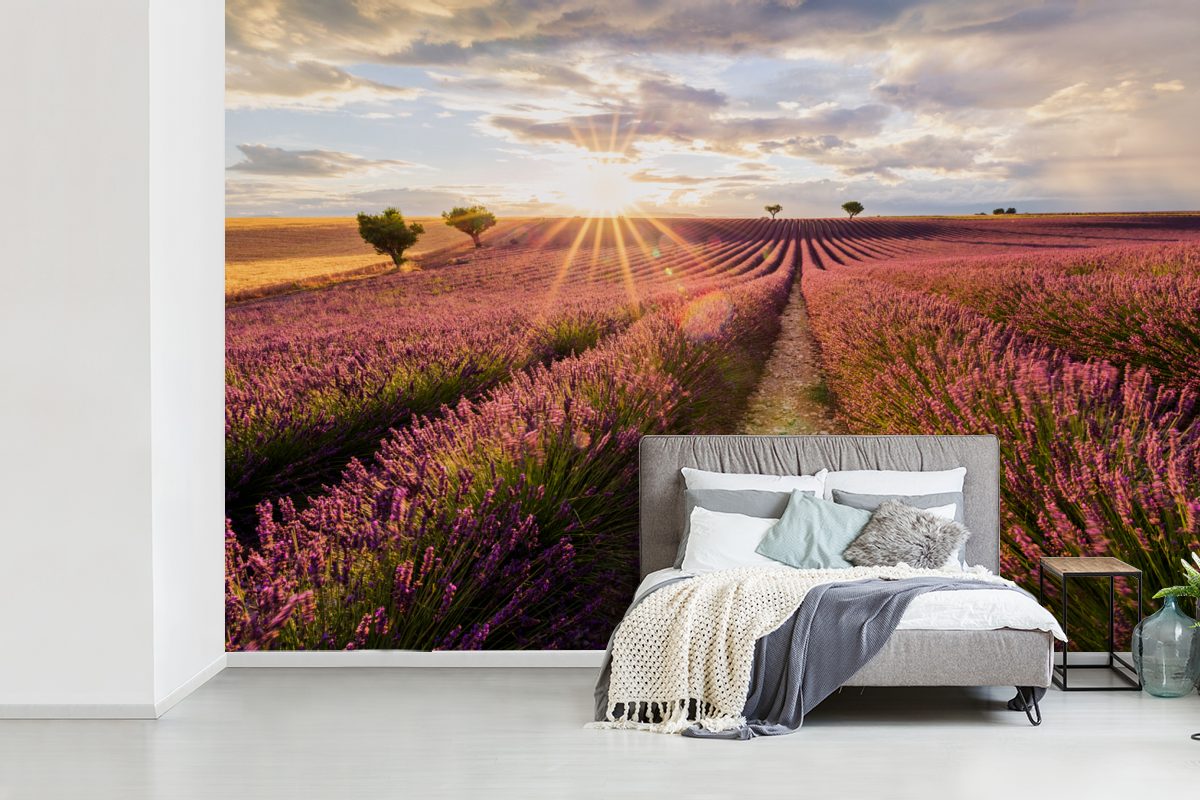 MuchoWow Fototapete Die Sonne scheint Wohnzimmer, in ein bedruckt, Lavendelfeld Südfrankreich, Tapete Matt, Kinderzimmer, (6 Schlafzimmer, Wallpaper Vinyl St), auf für