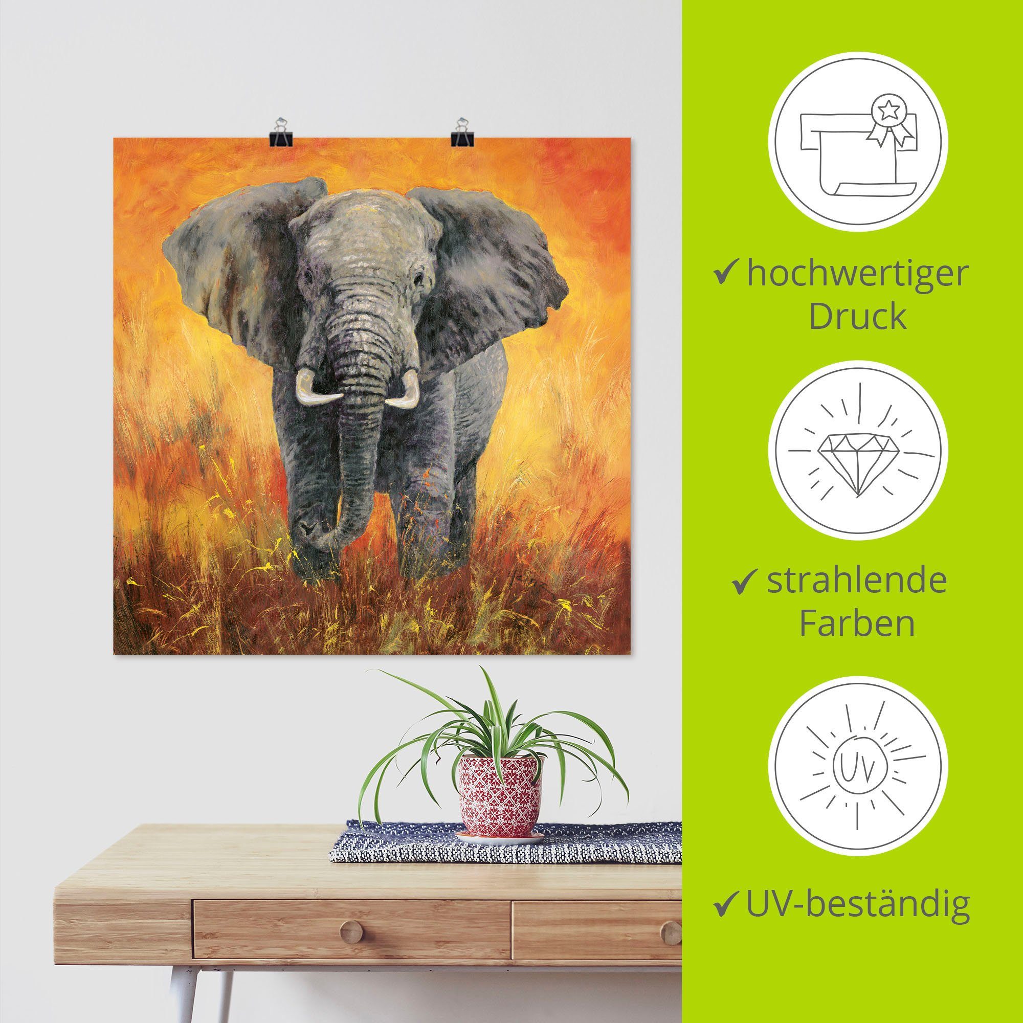 in Elefanten Alubild, Bilder oder St), Elefant, Wandaufkleber versch. Wandbild Poster Artland (1 Leinwandbild, Porträt als Größen