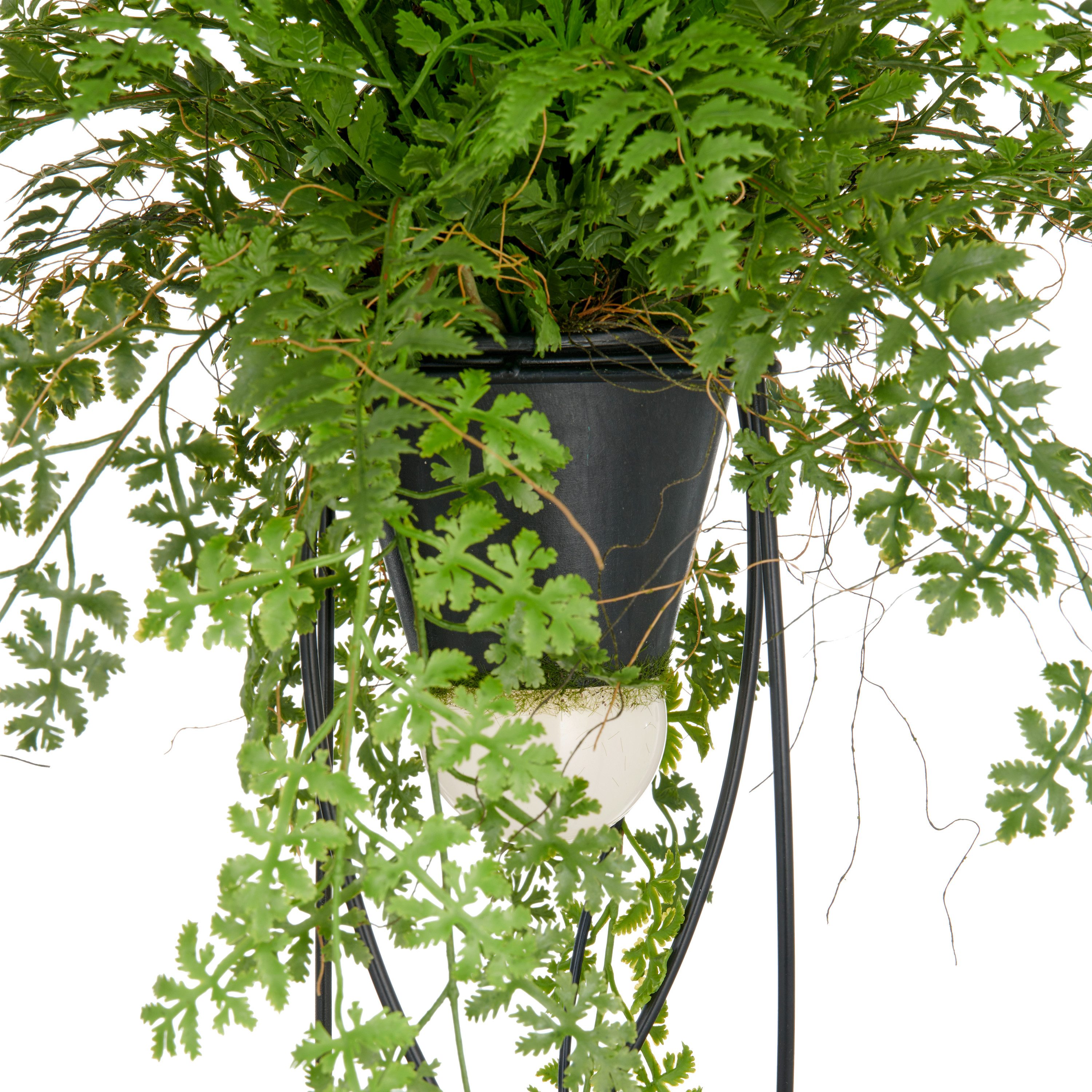 Kunstpflanze Farn als Dekostandleuchte, Creativ green, Höhe 60 cm, mit LED-Beleuchtung – Bild 3 von 3