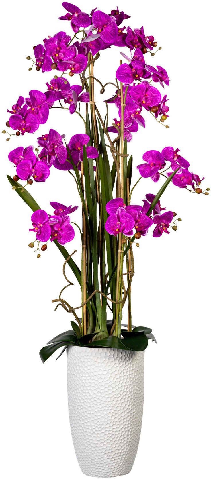 Kunstorchidee Deko-Orchidee Phalaenopsis XXL im Keramiktopf Orchideearrangement, Creativ green, Höhe 160 cm