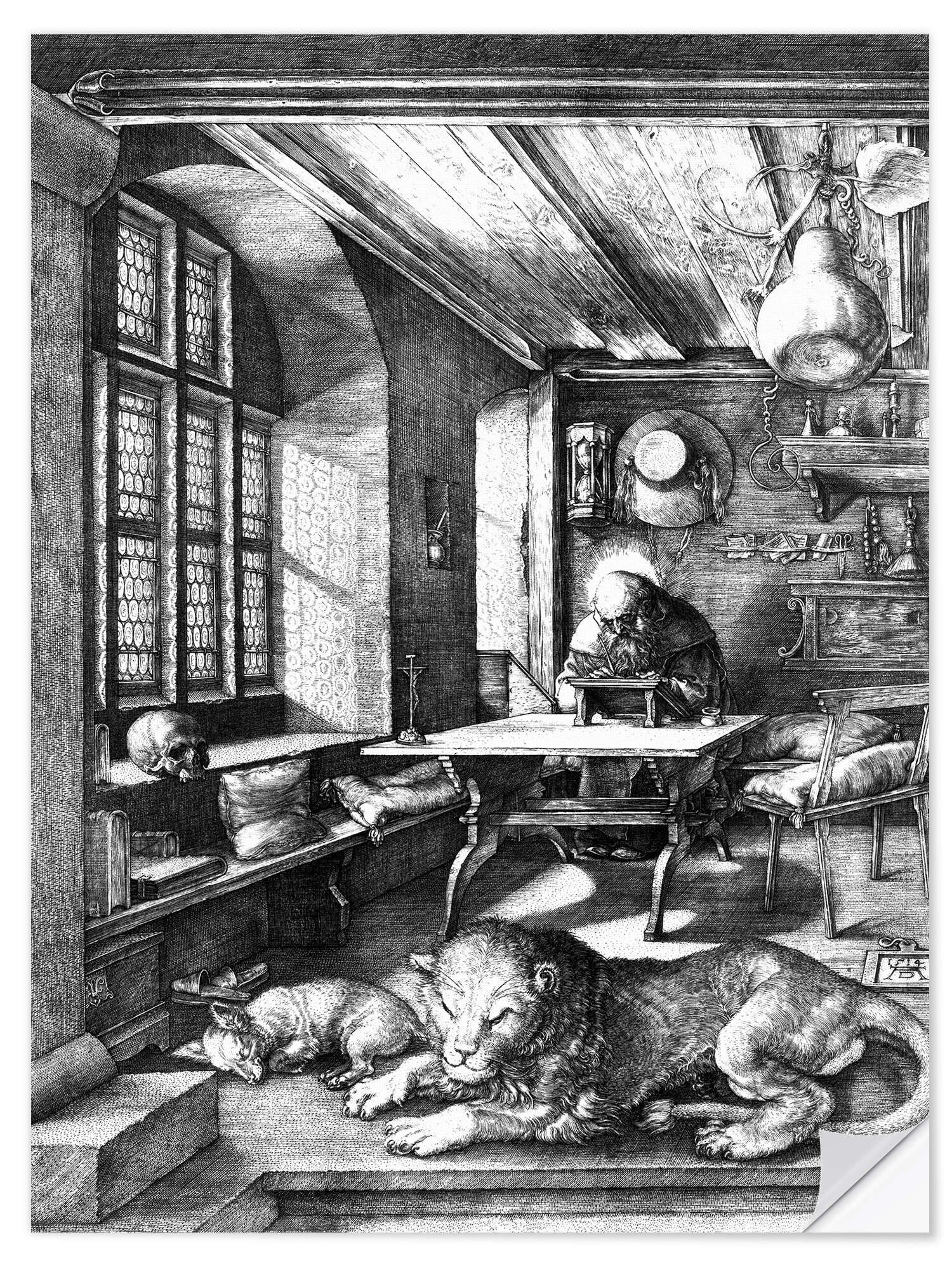 Wandfolie Albrecht Dürer