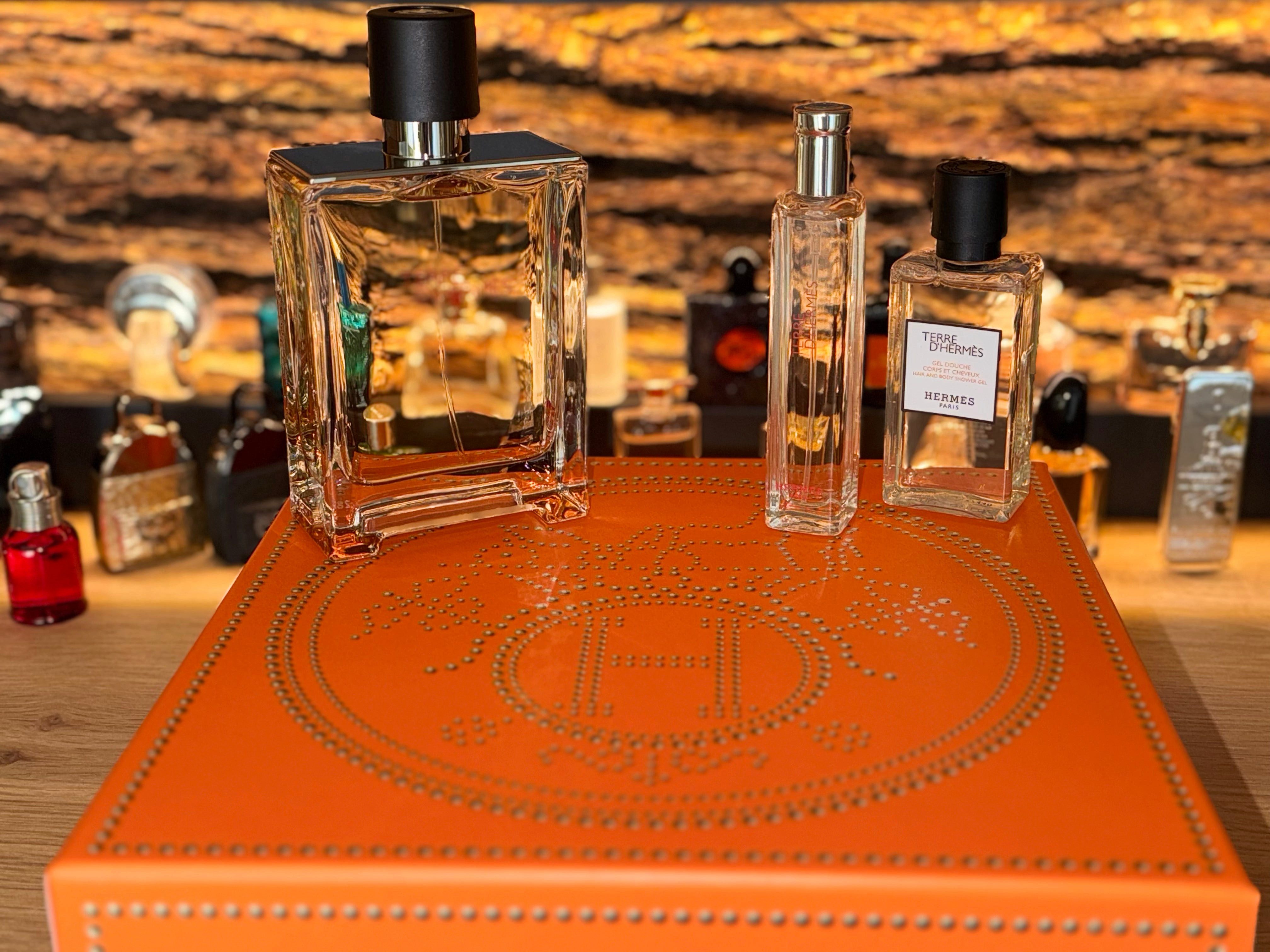 Eau de Toilette Hermes Terre d´Hermes SET