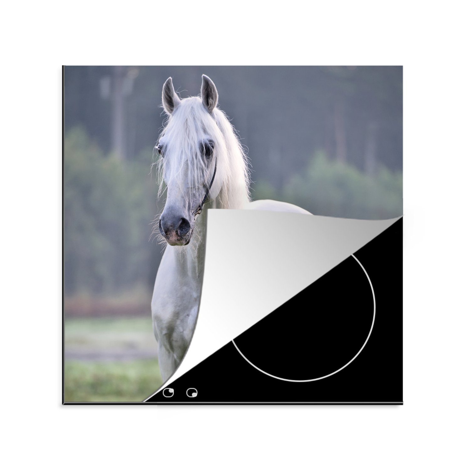MuchoWow Herdblende-/Abdeckplatte Pferd Arbeitsplatte (1 - 78x78 cm, Ceranfeldabdeckung, küche für - Vinyl, tlg), Licht Morgen
