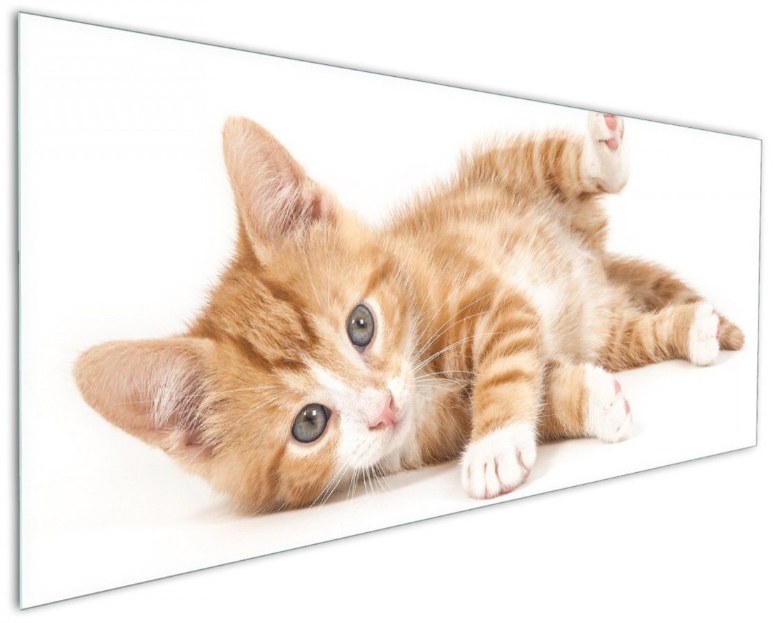 Wallario getigert, Süße - Katze Küchenrückwand mit weiß großen Augen rot (1-tlg)