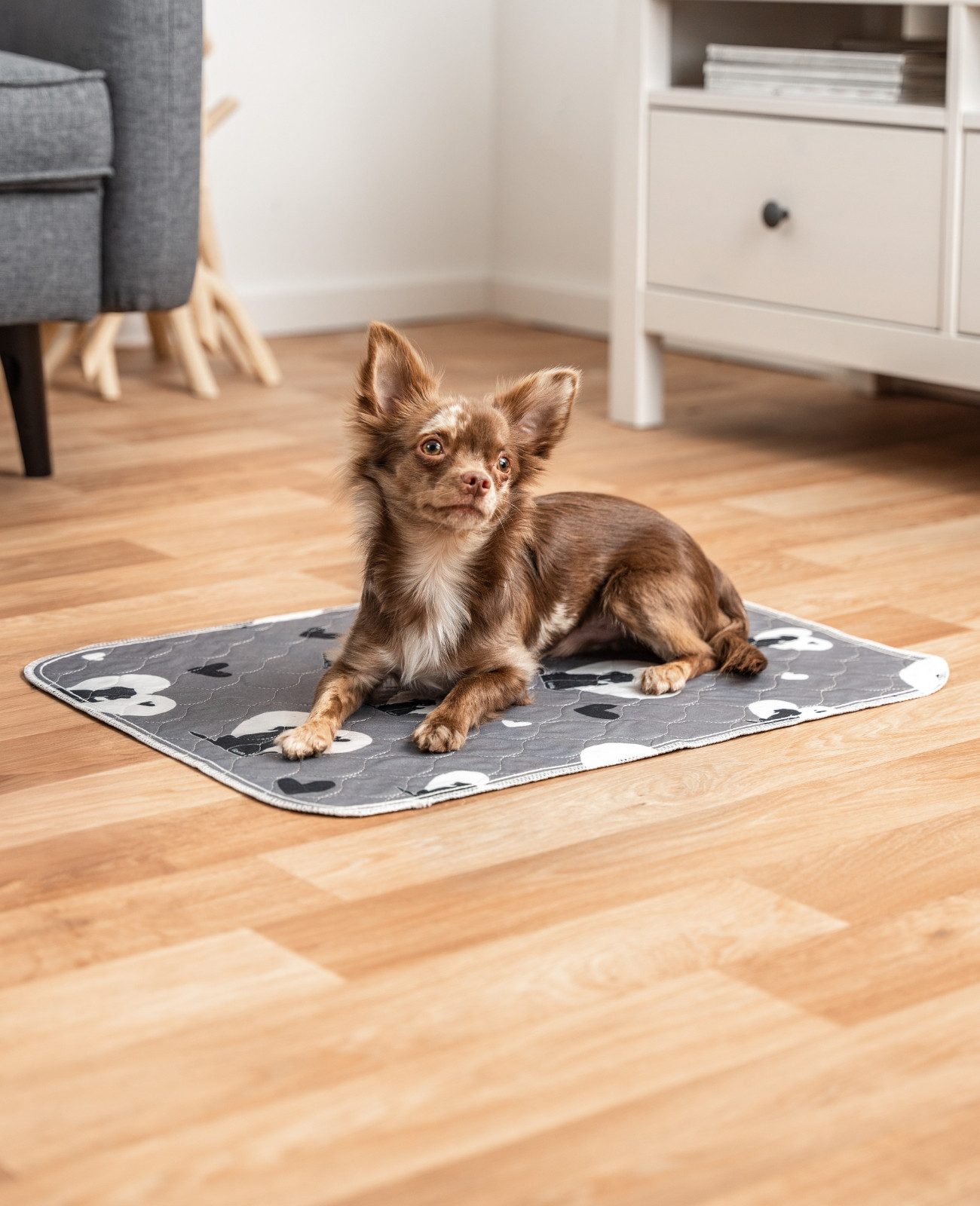lionto Hundematte waschbar, wiederverwendbare Welpenunterlage, 2-er Set, mi günstig online kaufen